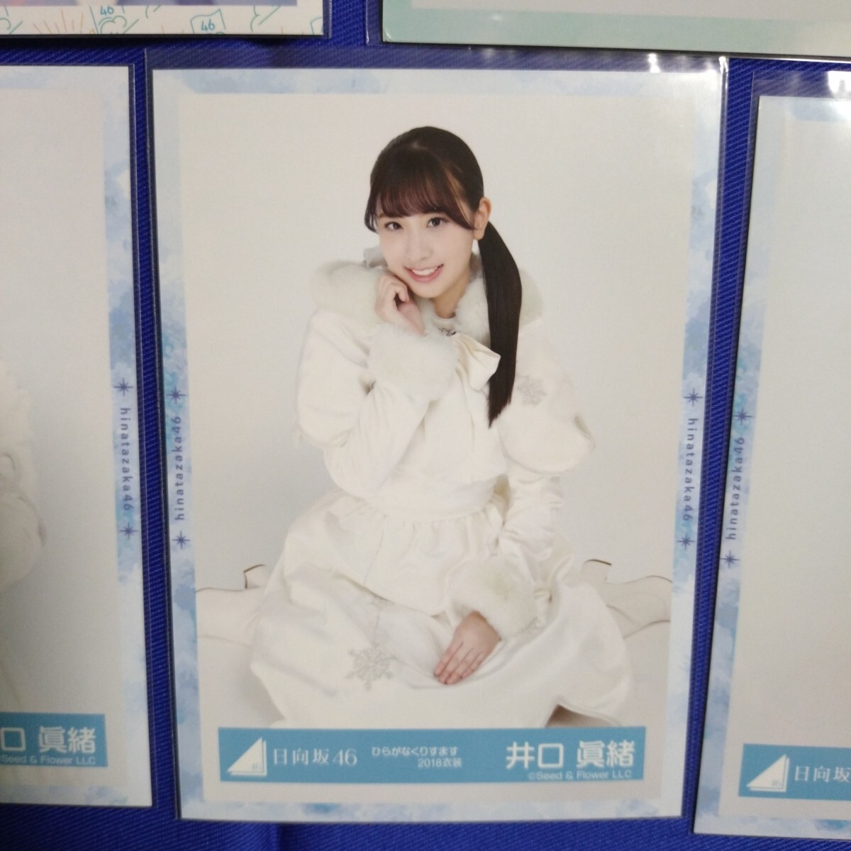 井口眞緒(けやき坂46) HUSTLE PRESS 直筆サイン入りチェキ 井口眞緒(けやき坂46) HUSTLE PRESS 直筆サイン入りチェキ