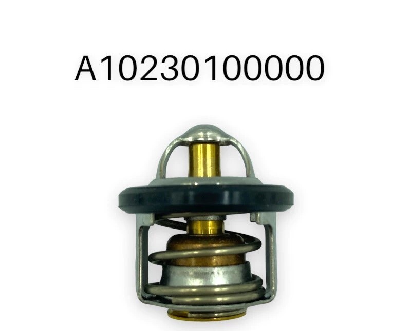PGO оригинальный TIGRA 168R термостат A10230100000