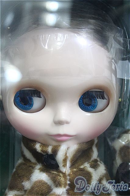 ネオブライス/カプチーノチャット I-24-12-01-1015-TO-ZI - ネオ ネオブライス/カプチーノチャット I-24-12-01-1015-TO-ZI - ネオ
