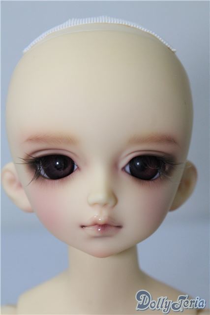 新品本物 MSD/ワンオフトッピCiera様 U-24-12-17-210-TN-ZU 本体