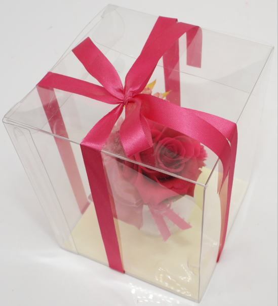  Blizzard цветок сухой цветок цветок цветок роза роза красный красный розовый б/у 