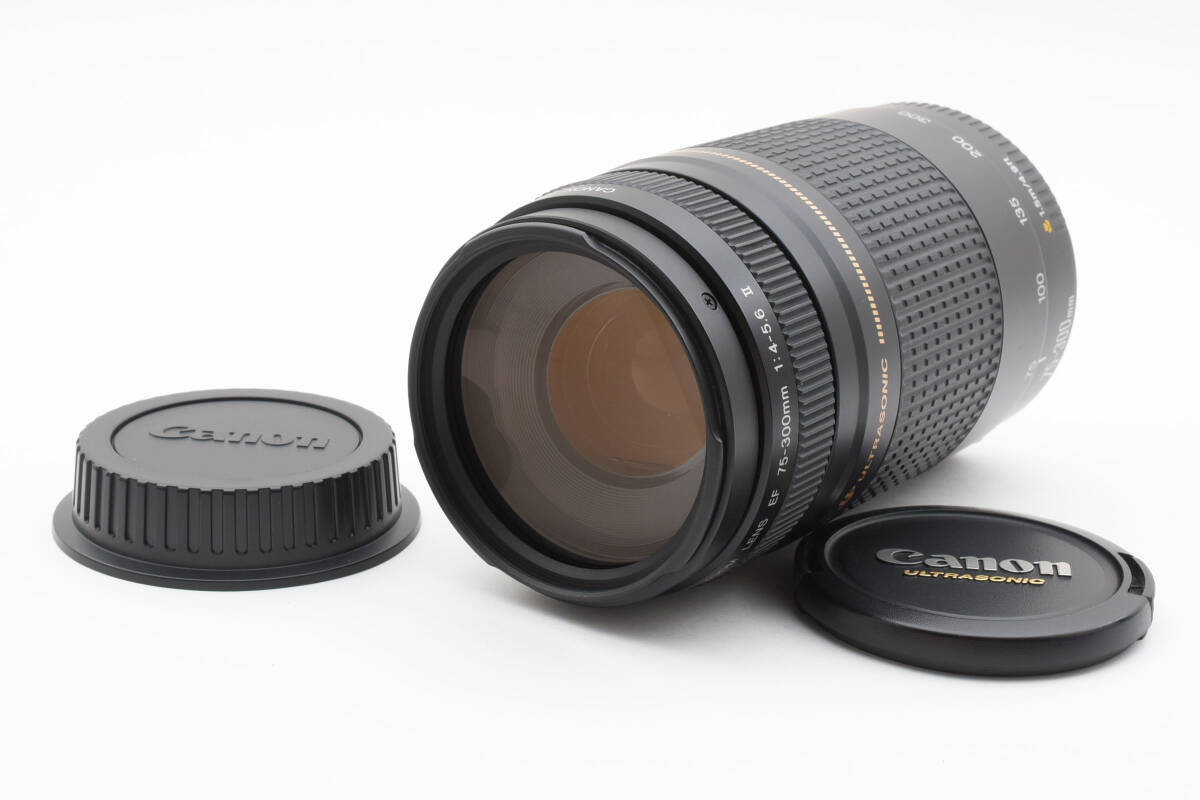 Canon EF 75-300mm F/4-5.6 II Zoom レンズ #676 Canon EF 75-300mm F/4-5.6 II Zoom レンズ #676
