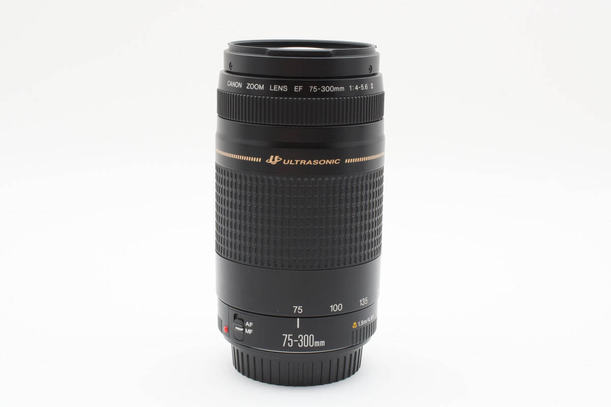 Canon EF 75-300mm F/4-5.6 II Zoom レンズ #676 Canon EF 75-300mm F/4-5.6 II Zoom レンズ #676
