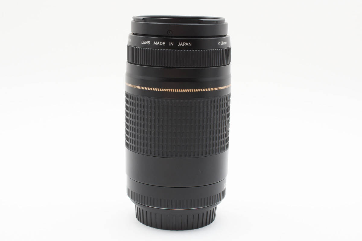 Canon EF 75-300mm F/4-5.6 II Zoom レンズ #676 Canon EF 75-300mm F/4-5.6 II Zoom レンズ #676