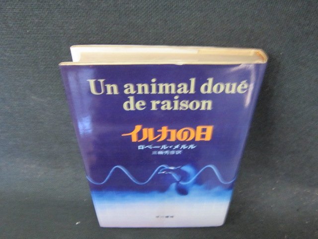  дельфин. день ro вуаль *me Lulu . река книжный магазин выгоревший на солнце участок чуть более . пятна иметь /EFJ