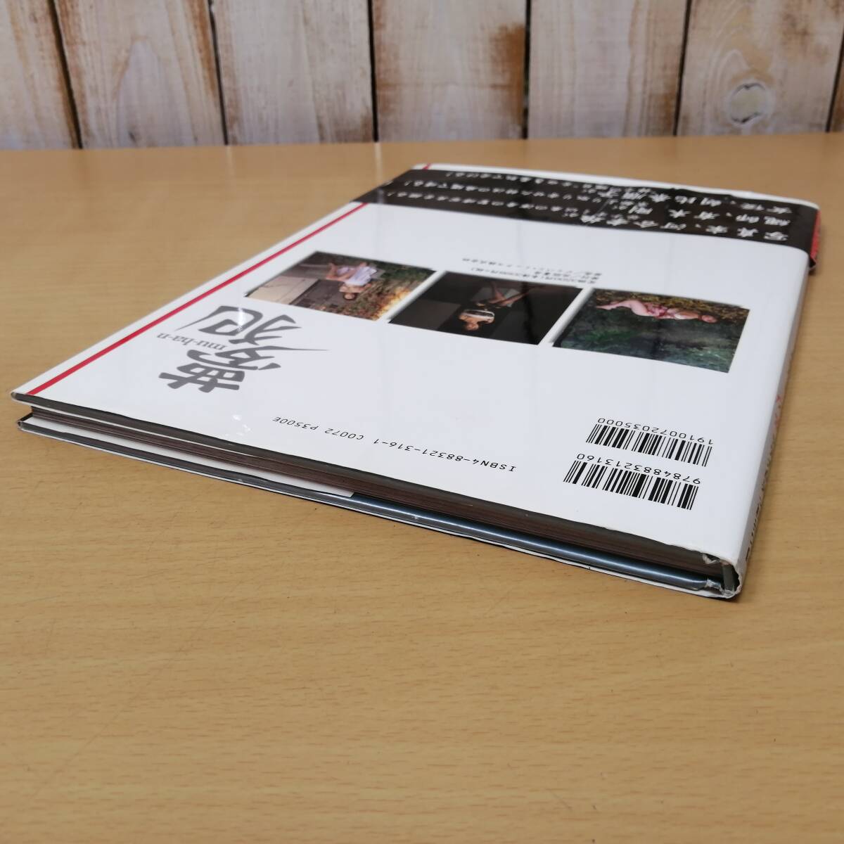 朝比奈順子緊縛写真集画像 