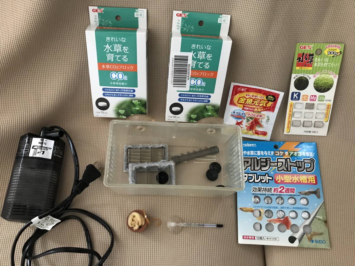 産卵ケース付き　飼育グッズ　いろいろ