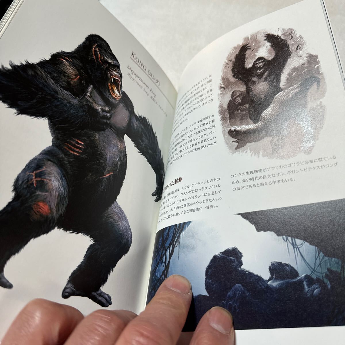 キングコング プレミアムエディション 2DVD ほぼ新品　洋画