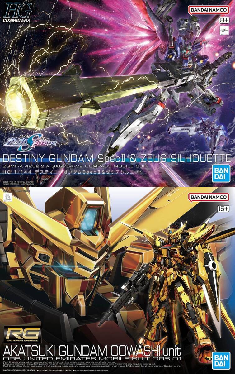 2品セット】HG デスティニーSpecII&ゼウス/RG アカツキガンダム 2品セット】HG デスティニーSpecII&ゼウス/RG アカツキガンダム