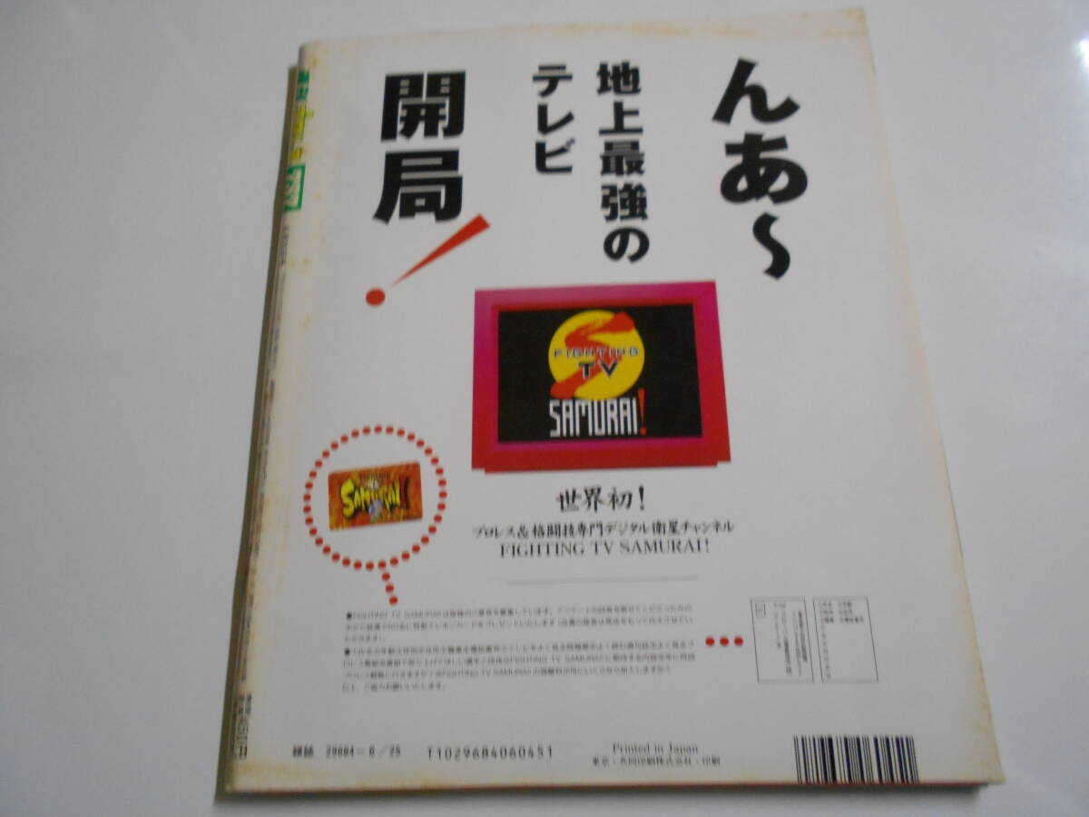 週刊プロレス 1996年平成8年6 25 737 田村潔司vs前田日明/リングス/船木誠勝/工藤めぐみ/中野龍雄/全日本プロレス/田上明vs川田利明