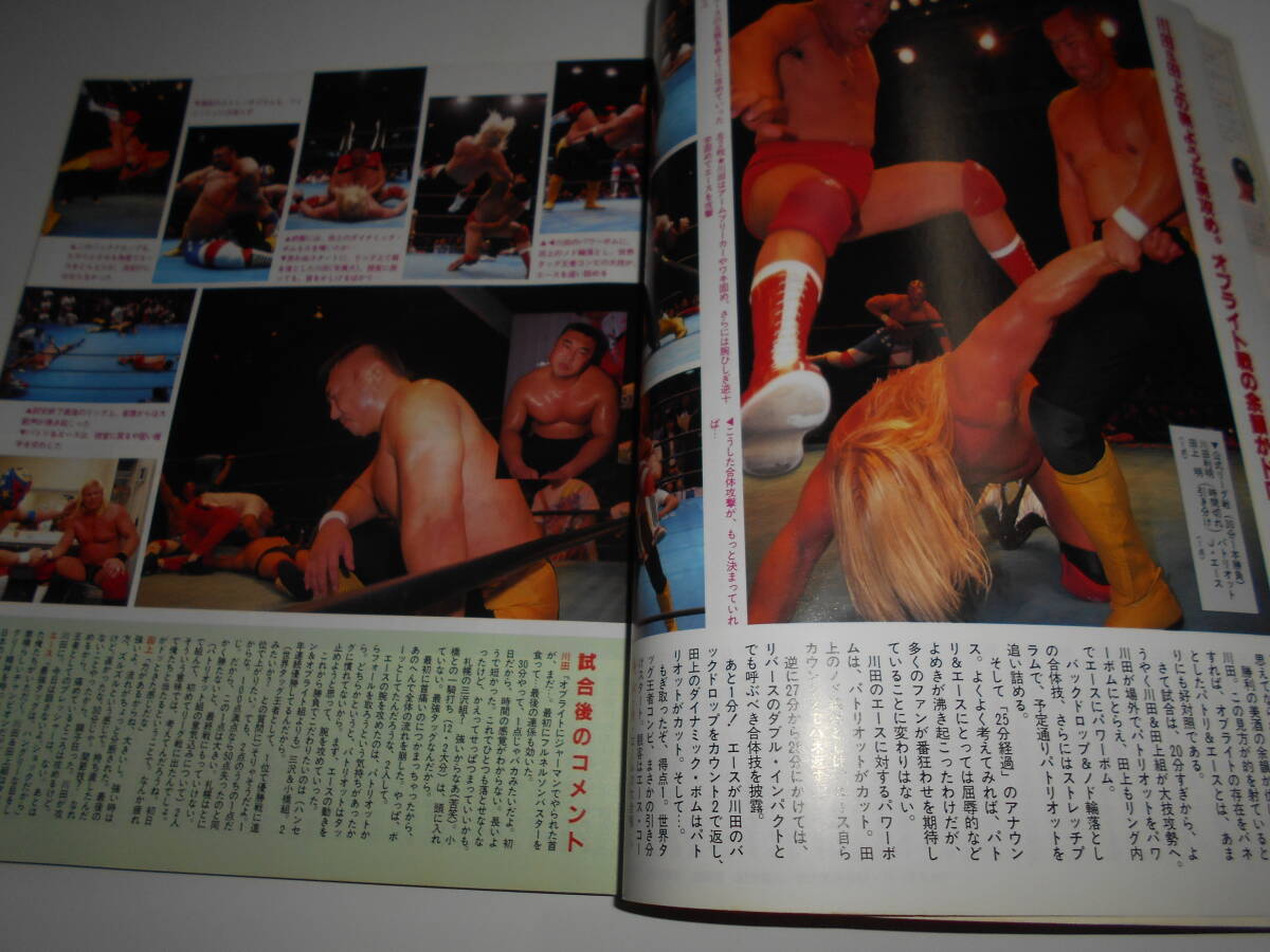 週刊プロレス 1995年平成7年12 5 705 田村潔司/矢樹広弓 府川由美/府川唯未/永田裕志/ダイナマイト関西 アジャコング 永田裕志 スティング