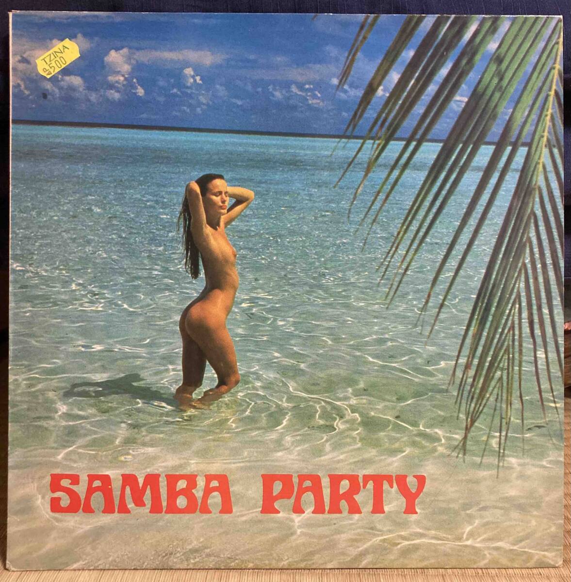 希少 LP イタロディスコ MIX Samba Party 極上 微乳ジャケ エロジャケ セクシージャケ ヌード Chris Lang John Arrow Magazine 60