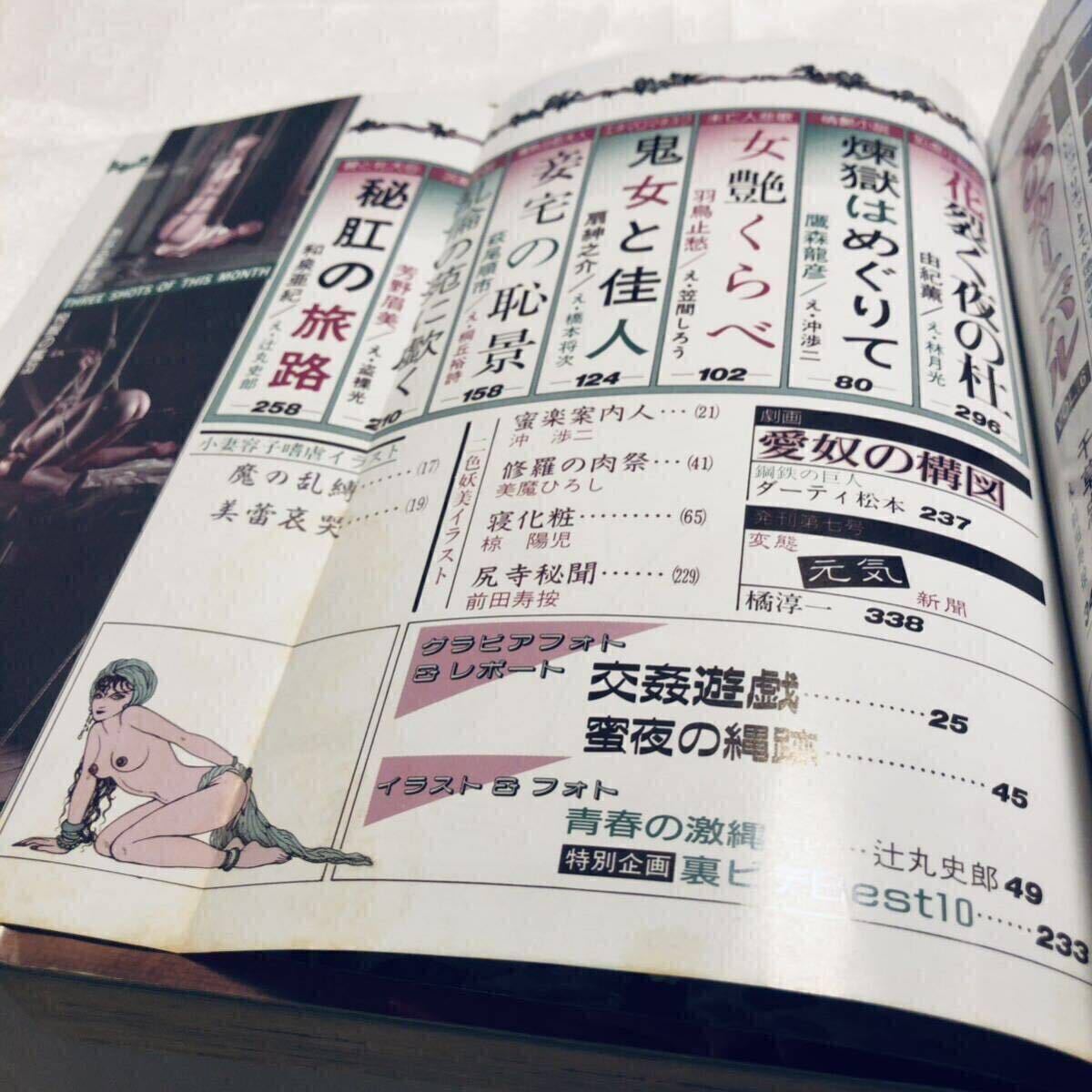 SM秘小説 昭和59年 1984年 11月號 団鬼六 千草忠夫 結(jié)城彩雨 由紀薫 羽鳥止愁 五代友義 和泉亜紀 芳野眉美 他 SM 調(diào)教 緊縛 縄