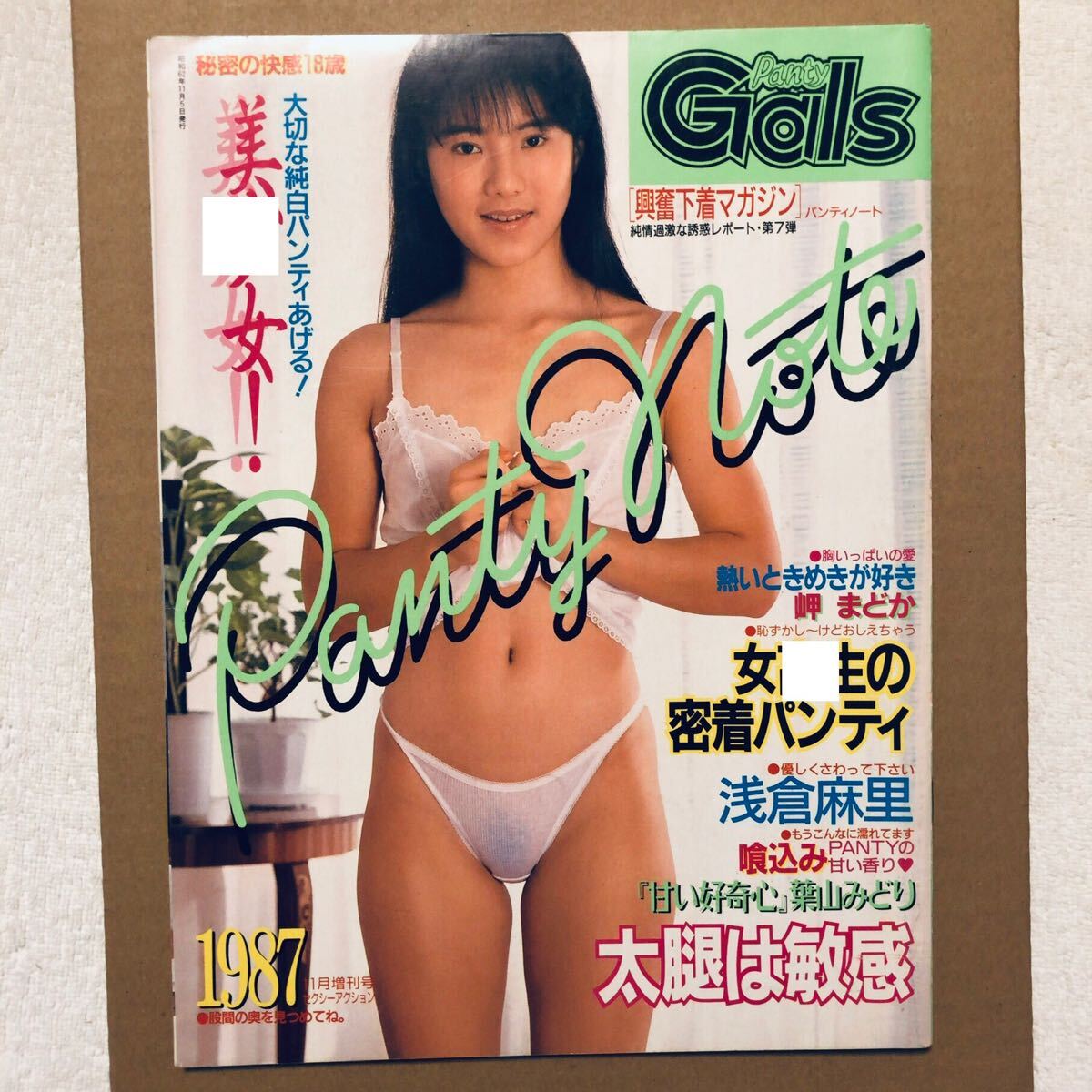 PANTY NOTE パンティノート セクシーアクション 昭和62年 1987年 11月増刊號 岬まどか 中原美樹 葉山みどり 篠原有希 淺間ルイ 他