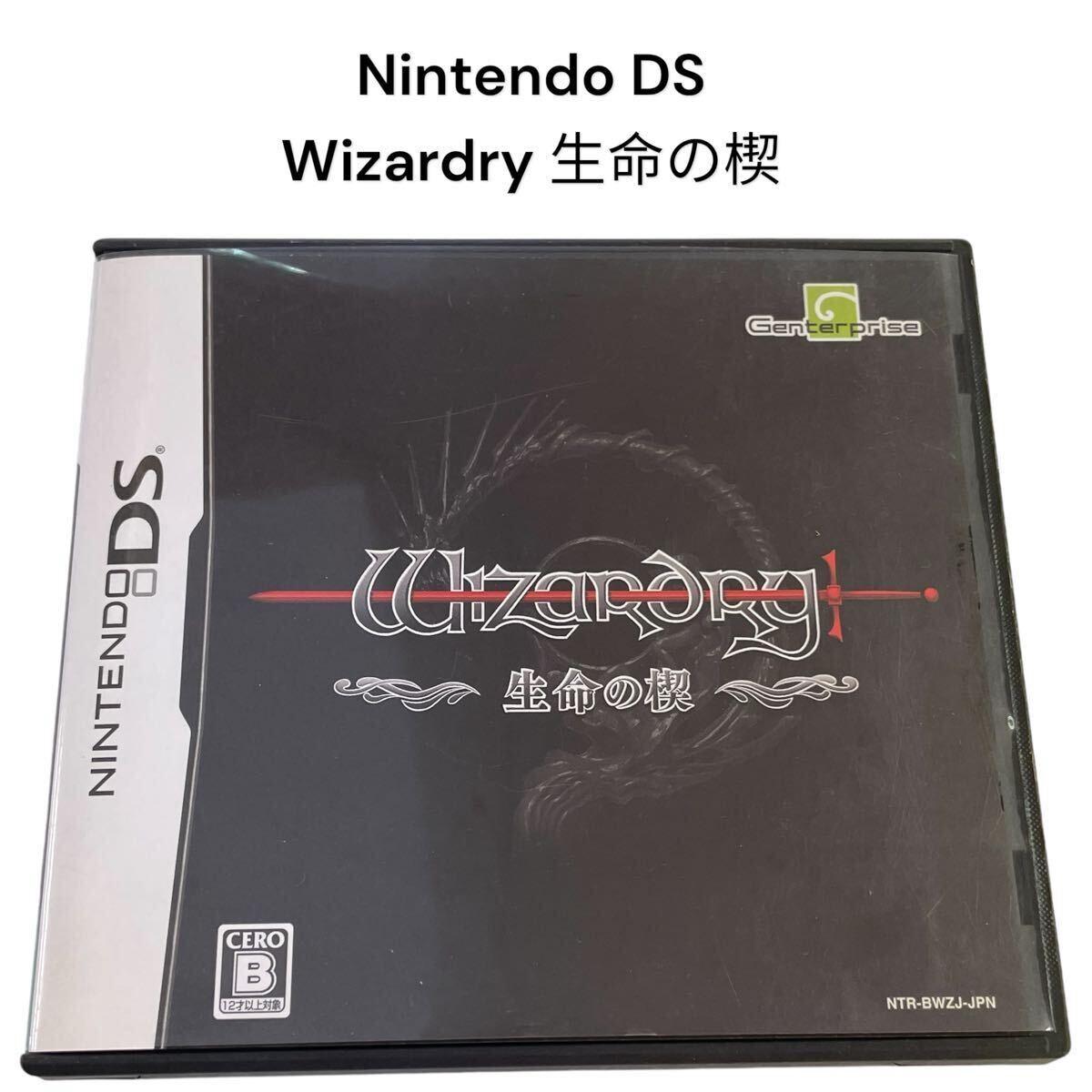 【動作確認済 NintendoDS ソフト Wizardry 生命の楔】中古 長期保管品 ダンジョン RPG ウィザードリィ NintendoDS ゲーム #0615-037A15