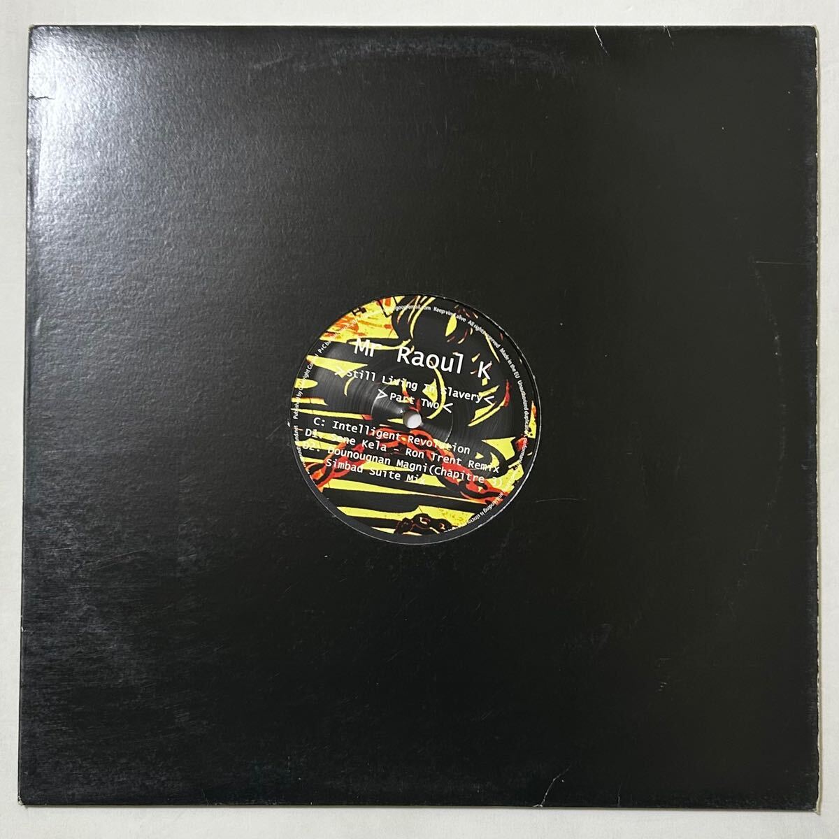 ハウス [12] Mr Raoul K / Still Living In Slavery (Part Two)