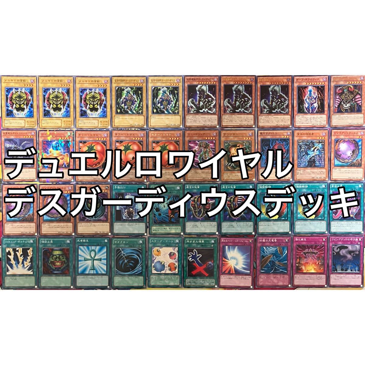 No.1444 デュエルロワイヤル デスガーディウス デッキ 遊戯王