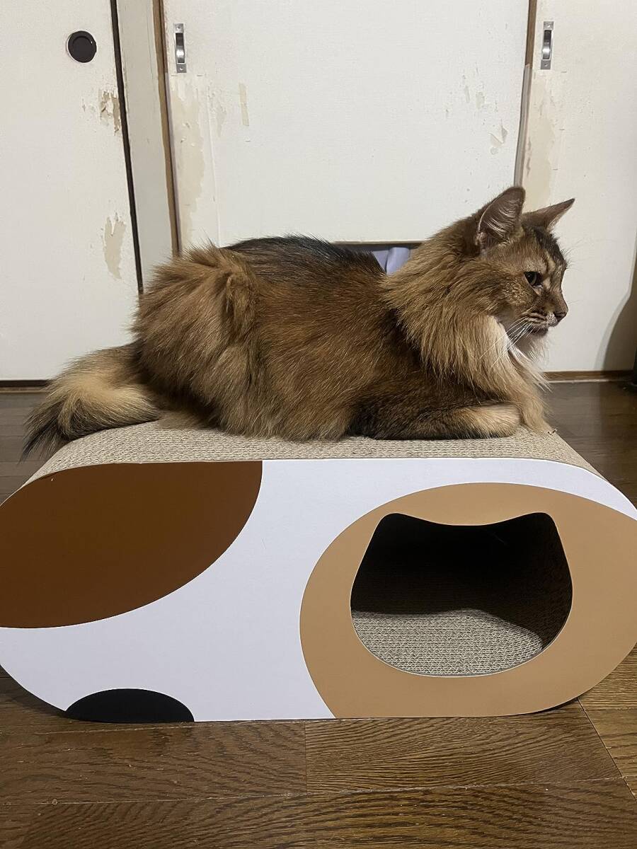 ☆一台で3役、多機能 猫 耐久性に優れる 高品質 安全 ☆一台で3役、多機能 猫 耐久性に優れる 高品質 安全