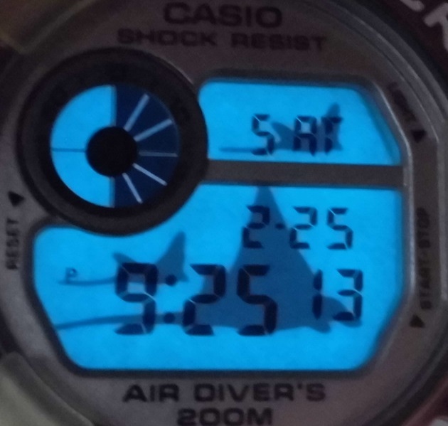 未使用！送料３９０円～カシオ ジーショック DW-8201WC-7T 2代目フロッグマン 世界サンゴ礁保護(hù)協(xié)會(huì) G-SHOCK FROGMAN レターパックプラスOK