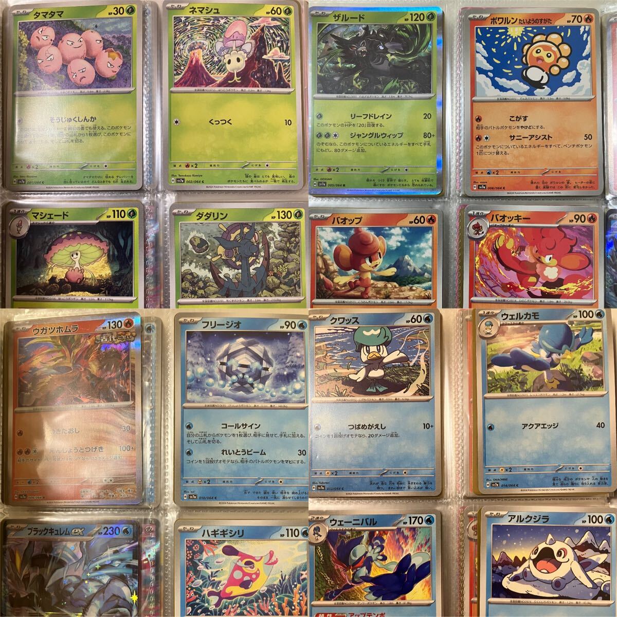 ポケモンカードゲーム 楽園ドラゴーナ. sv7a / 64/64枚setまとめ売り Pokmon ポケカ レギュラーカード コンプ