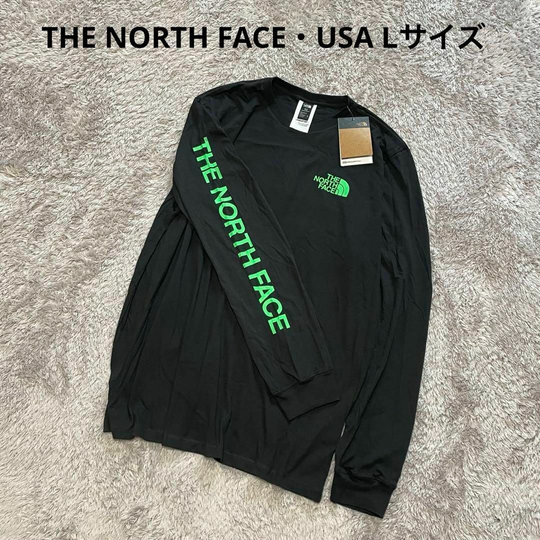 USA 日本未発売 LTHE NORTH FACE ノースフェイス新品 ヒットグラフィック Tシャツ 黒ブラック ロンT デカロゴ 未入荷 海外限定