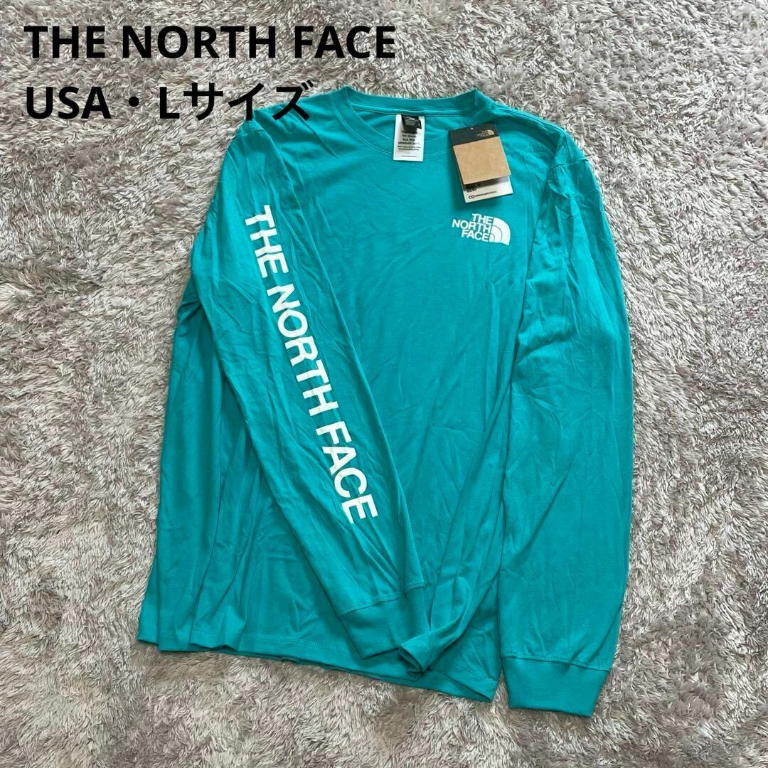 USA 日本未発売 LTHE NORTH FACE ノースフェイス新品 ヒットグラフィック Tシャツ 緑 ロンT デカロゴ 未入荷 海外限定