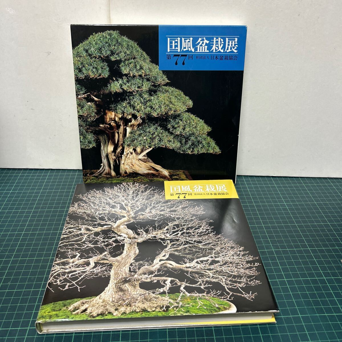 国風盆栽展 第77回 日本盆栽協会 平成15年 園芸 図録 函付き