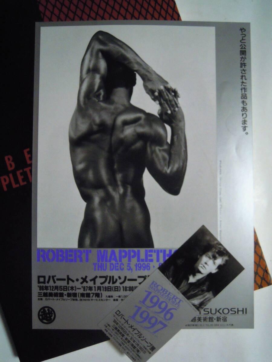 英語洋書】ロバート・メイプルソープ写真集 『Robert