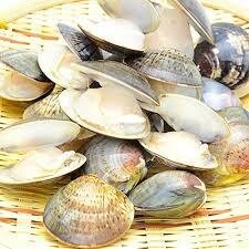 . есть хамагури 500g