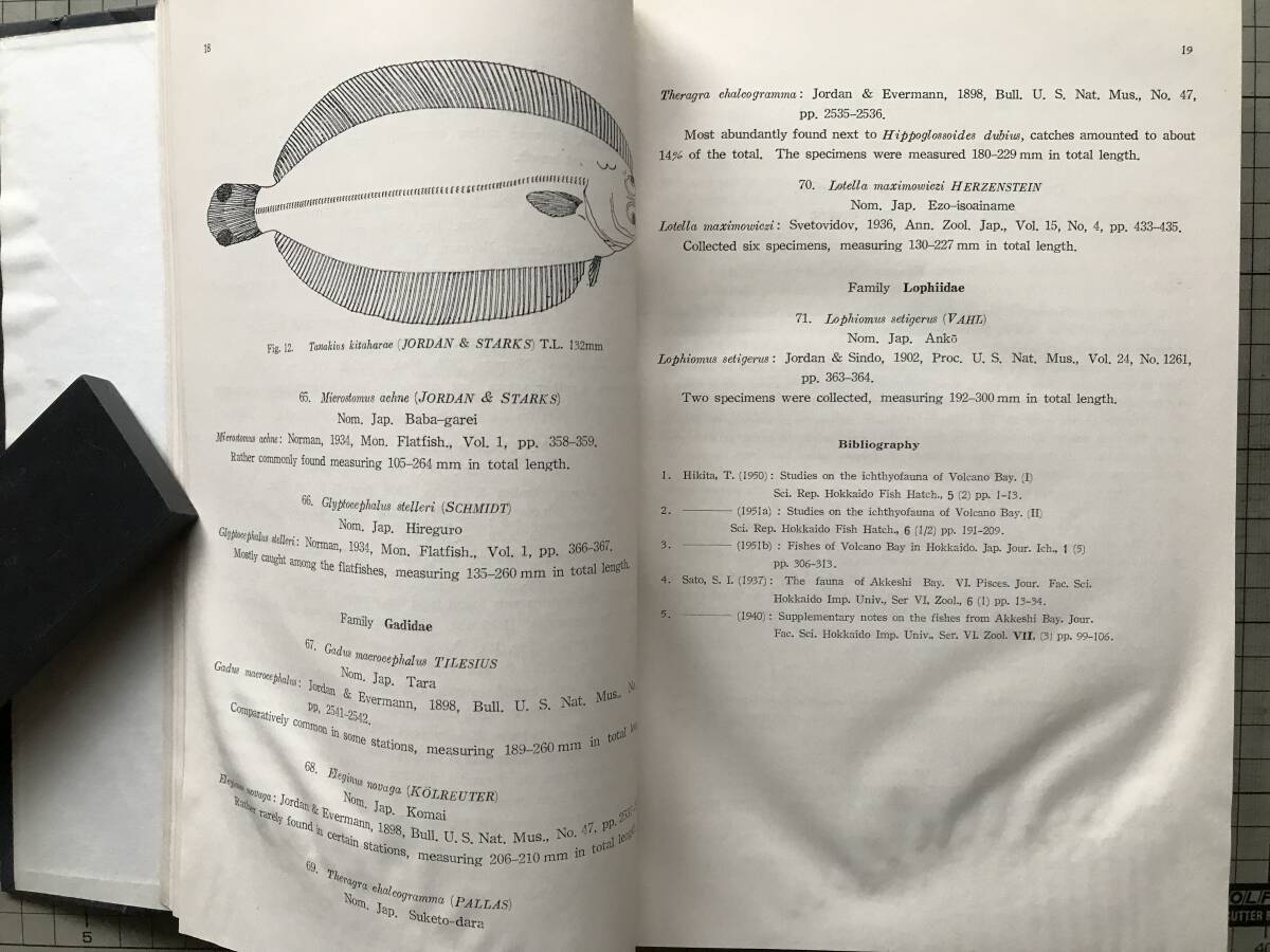 北水試・研究報告 1-8・1-12・13-18 1949-1958年 三冊 北水試・研究報告 1-8・1-12・13-18 1949-1958年 三冊
