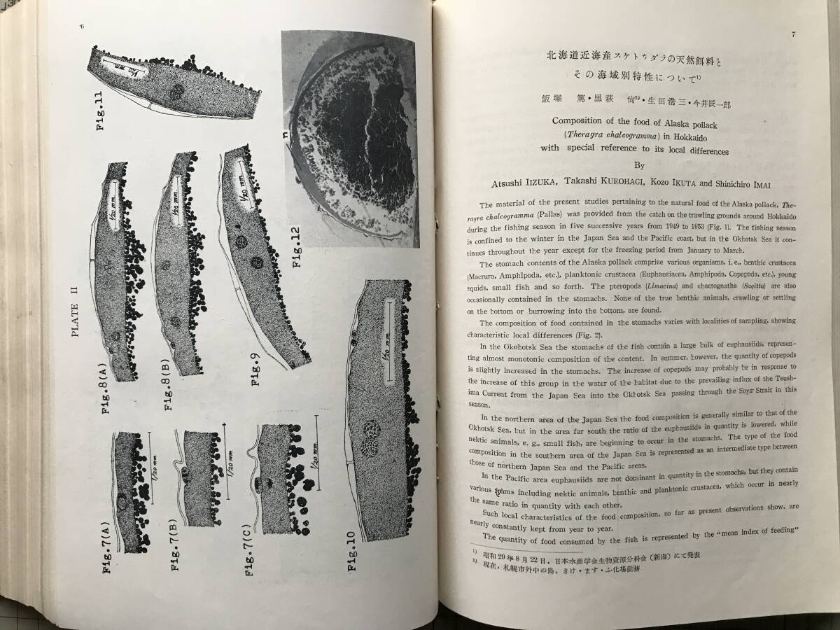 北水試・研究報告 1-8・1-12・13-18 1949-1958年 三冊セット 北水試・研究報告 1-8・1-12・13-18 1949-1958年 三冊セット