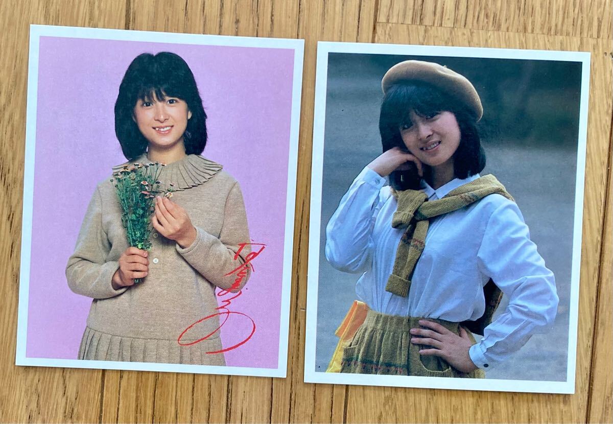 送料無料 河合奈保子さん 山勝フォトカード9枚セット ブロマイド 送料無料 河合奈保子さん 山勝フォトカード9枚セット ブロマイド