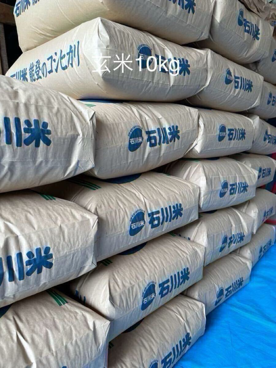 令和六年 コシヒカリ 石川県能登産米 玄米10kg(精米約9kg)