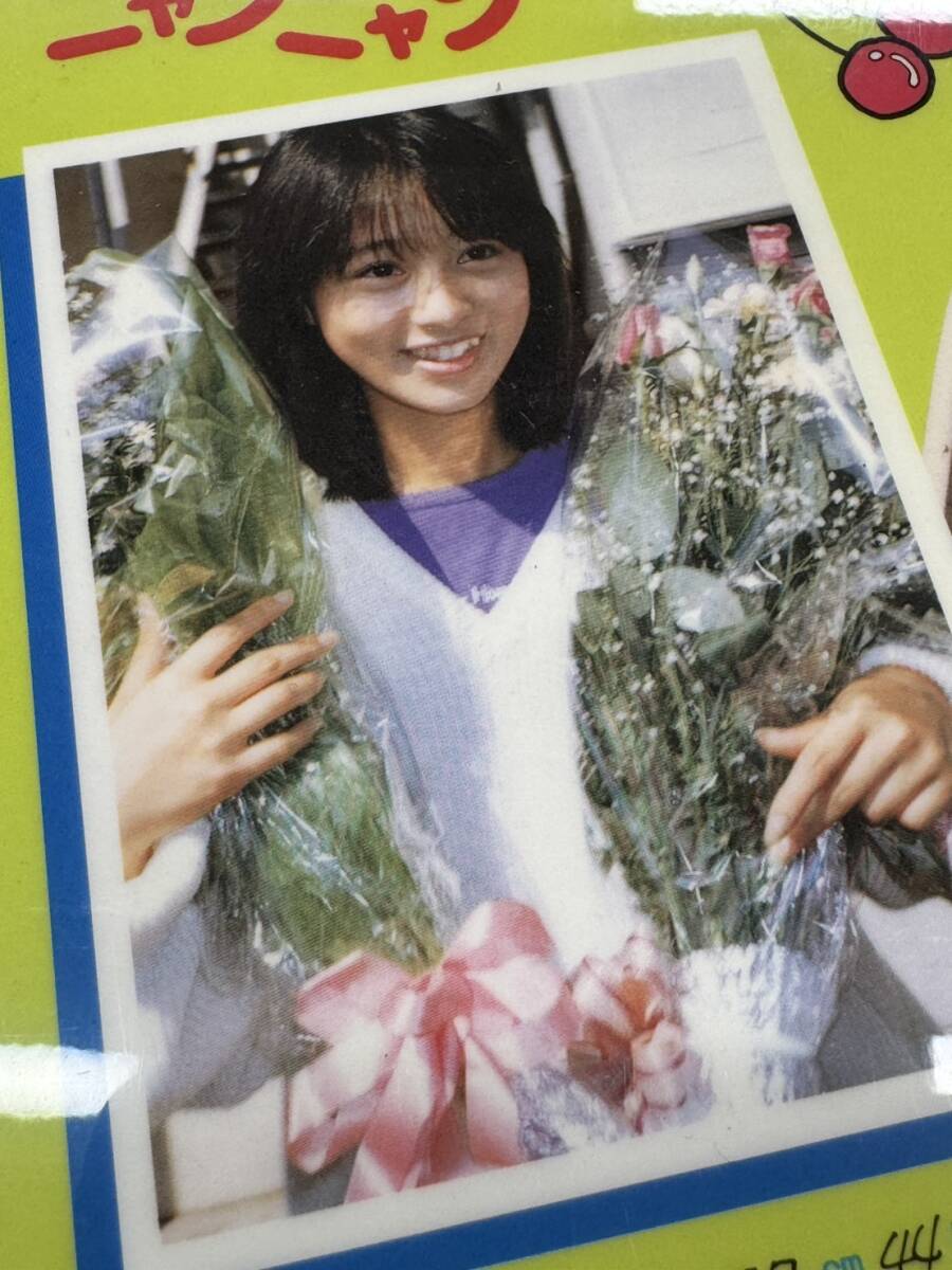レア！！ おニャン子クラブ 可愛い 渡辺美奈代 下敷き ZM1149