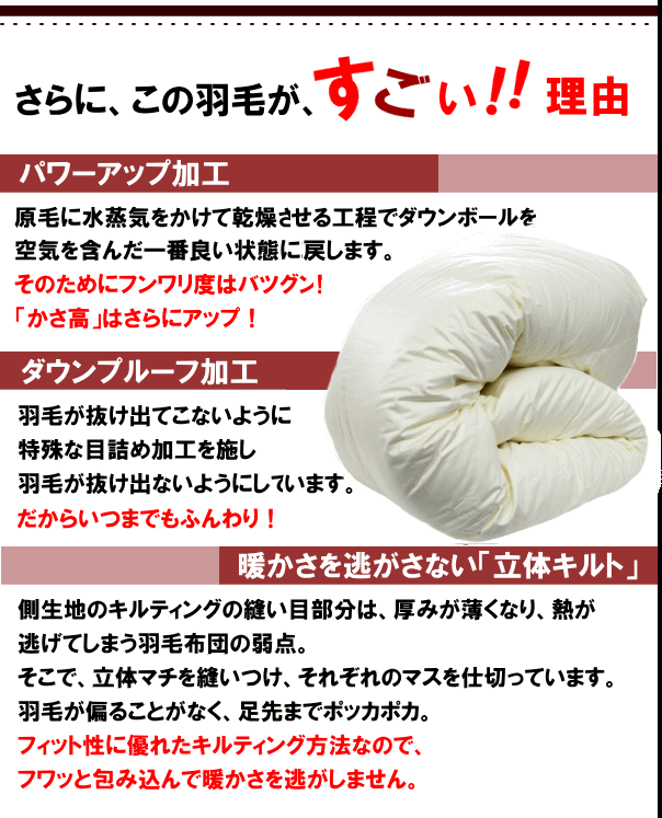 羽毛布団 ダブル ハンガリー産ホワイトダックダウン 93% エクセルゴールラベル 超長綿 綿100% 日本制