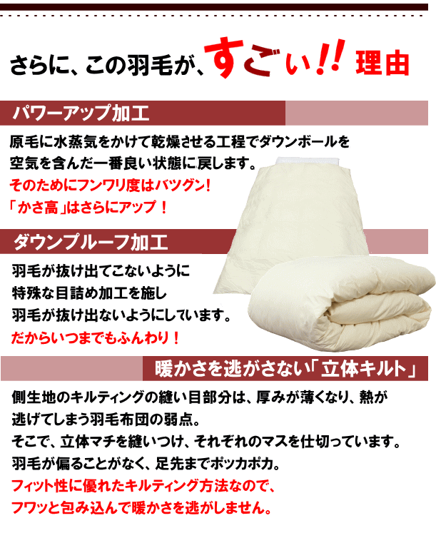 ダウンケット ダブル 肌掛布団 ポーランド産ホワイトマザーグース ロイヤルゴールドラベル 超長(zhǎng)綿 夏用 マザーグース 日本制