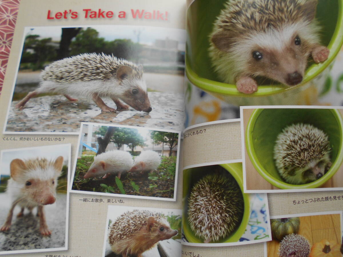 ★ザ?ハリネズミ　飼育?生態(tài)?接し方?醫(yī)學がすべてわかる(ペット?ガイド?シリーズ)★これから可愛いハリネズミ飼育してみましょう！