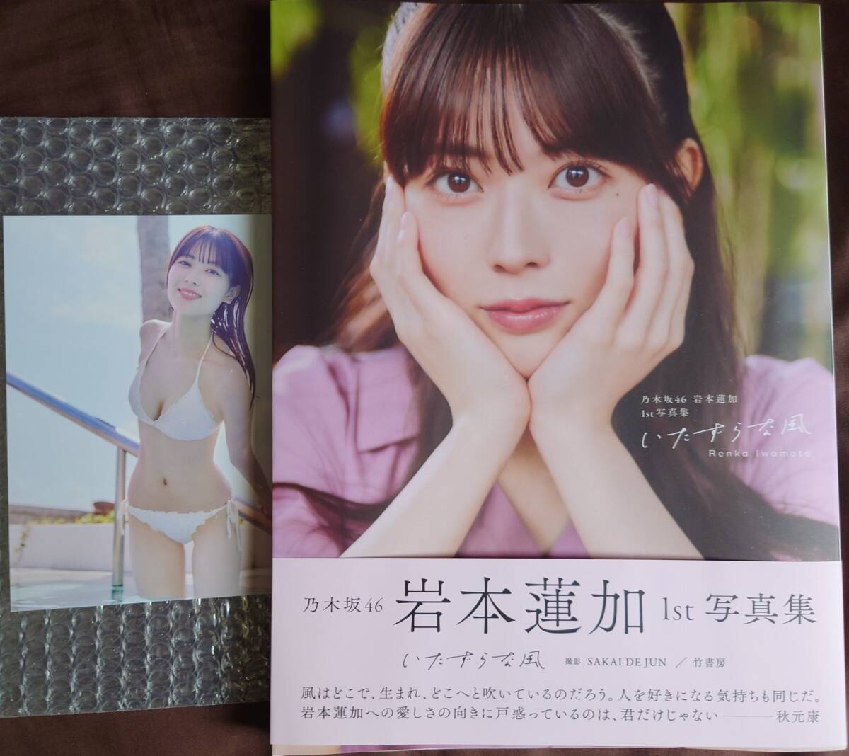 【在庫有】 乃木坂46 オークファン（aucfan.com） - の商品情報をアーカイブ公開  応募券無し(あ行)｜売買されたオークション情報、Yahoo!オークション(旧ヤフオク!) 楽天ブックス限定カバー版 「いたずらな風」 1st写真集 岩本蓮加 アイドル