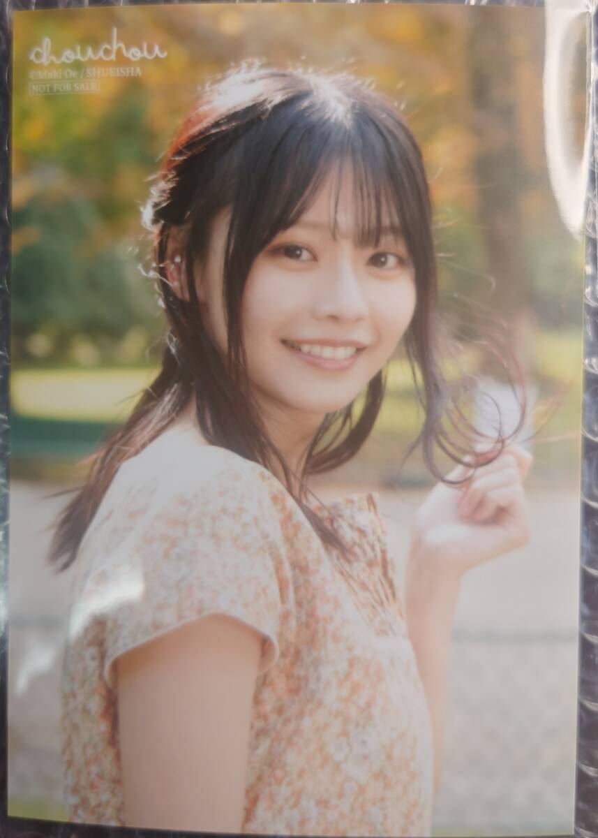 直筆サイン入り 椛島光 1st写真集「chouchou」 イベント限定生 直筆サイン入り 椛島光 1st写真集「chouchou」 イベント限定生