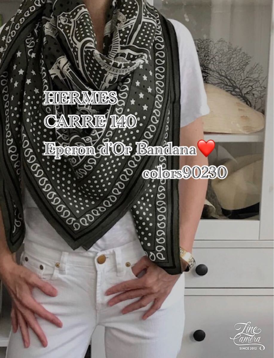 【超目玉枠】 極美品 エルメス シルク カシミヤ ストール カレジェアン 小物