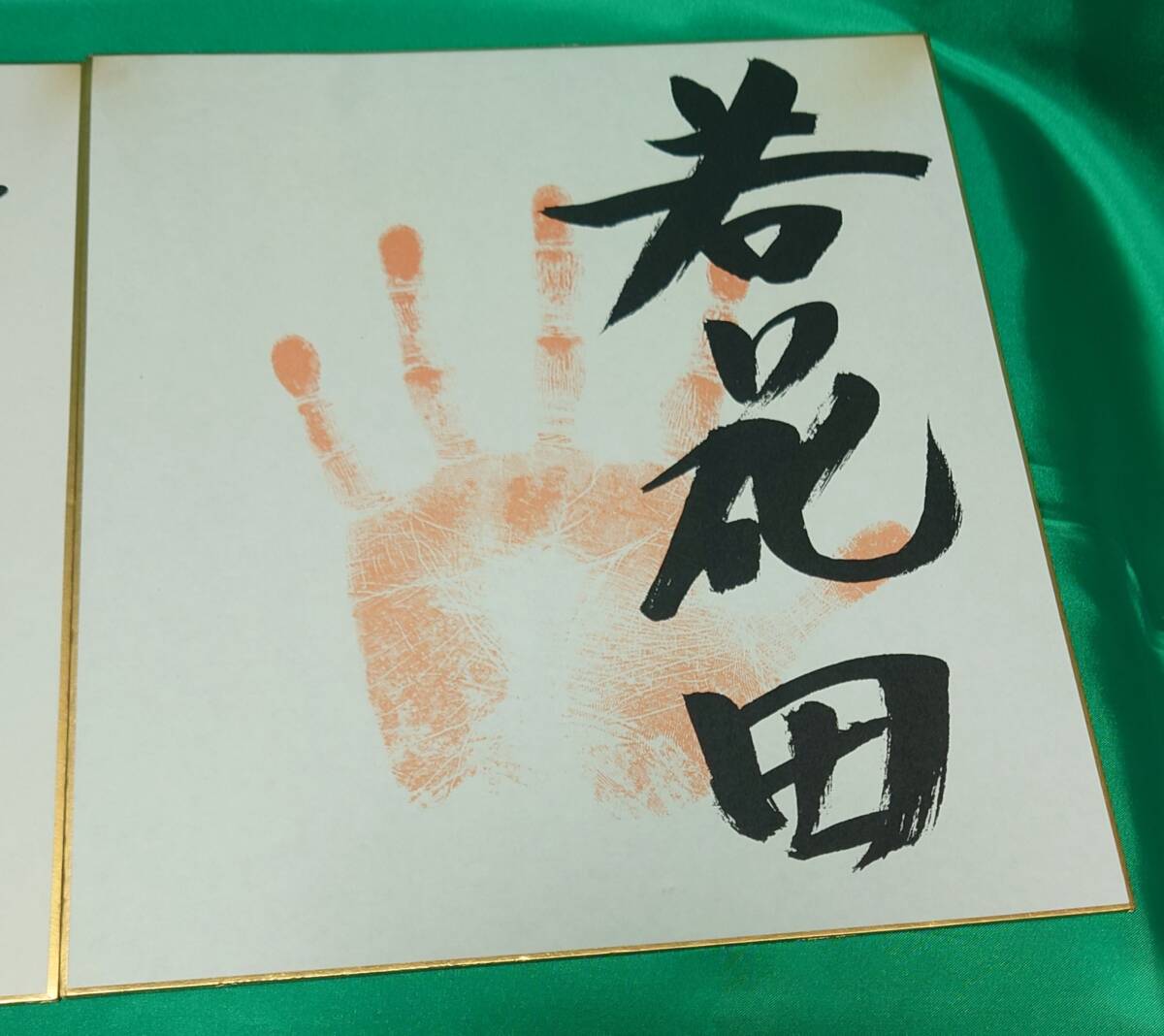 プリント色紙 大相撲 貴花田 若花田 2枚セット【日本郵便発送 プリント色紙 大相撲 貴花田 若花田 2枚セット【日本郵便発送
