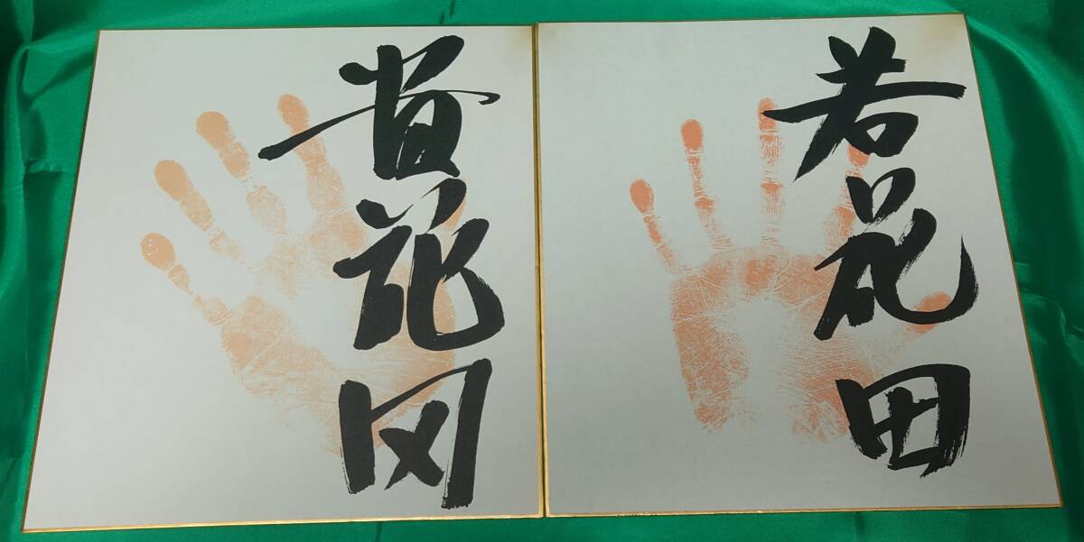 プリント色紙 大相撲 貴花田 若花田 2枚セット【日本郵便発送 プリント色紙 大相撲 貴花田 若花田 2枚セット【日本郵便発送