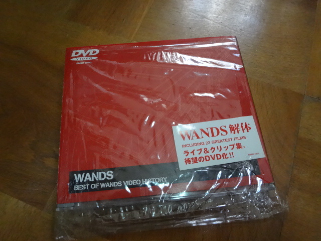 WANDS/BEST OF WANDS VIDEO HISTORY/ DVD ワンズ 上杉昇 世界が終わるまでは 時の扉 世界中の誰よりきっと