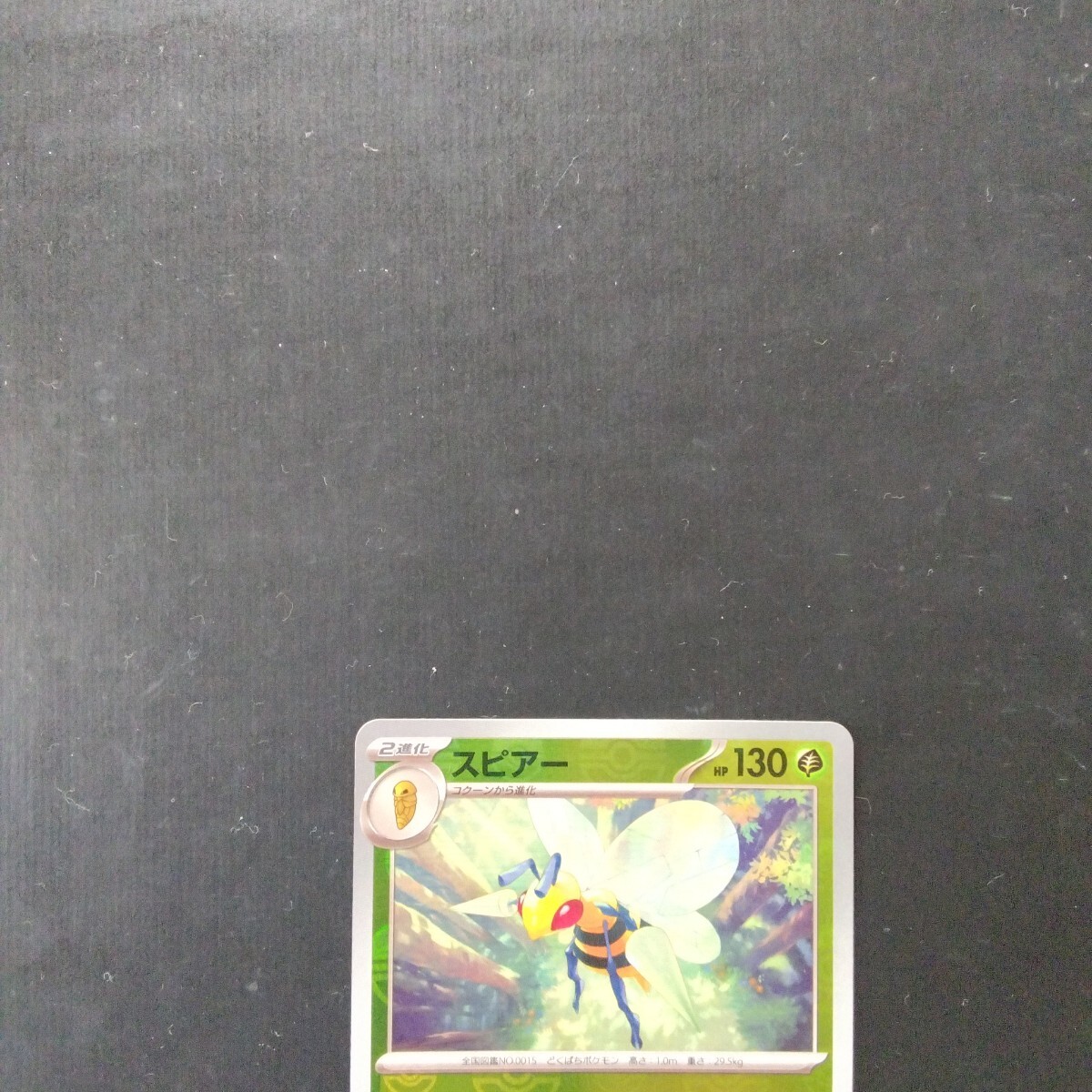  Pokemon card ma Starbo -rus Piaa -