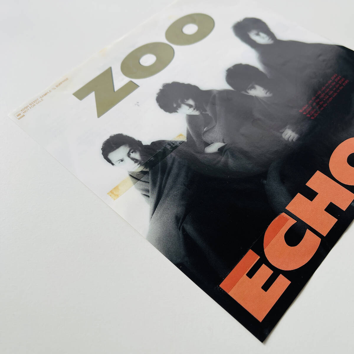 ZOO:SURPRISE ECHOES 見本盤 EPレコード|あ行 ZOO:SURPRISE ECHOES 見本盤 EPレコード|あ行