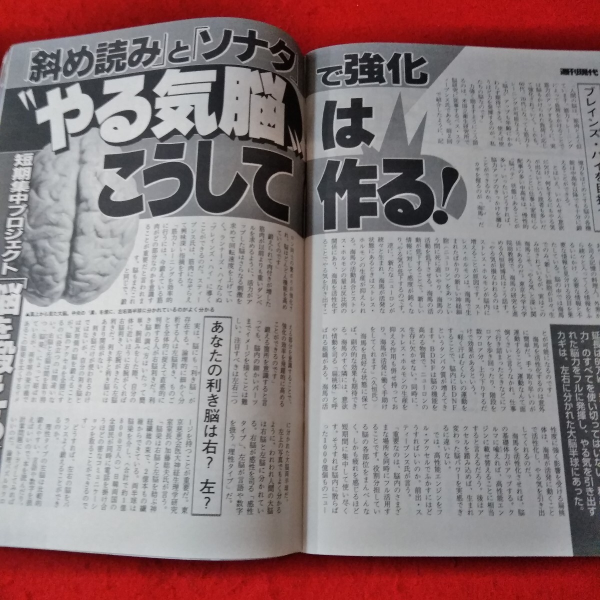 Ca-243/週刊現代　2004年11月6日号　坂下千里子　秋吉久美子　真梨邑ケイ　松井秀喜　宮沢りえ　樋口可南子/L3/61218