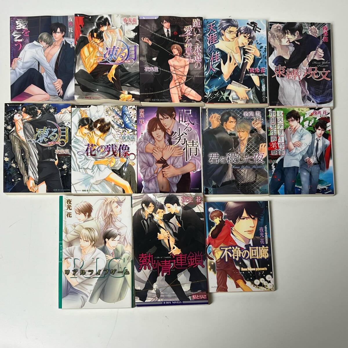 BL ボーイズラブ　ガッシュ文庫　小説【夜光花　まとめて13冊】　凍る月　花の残像　熱情連鎖　不浄の回廊