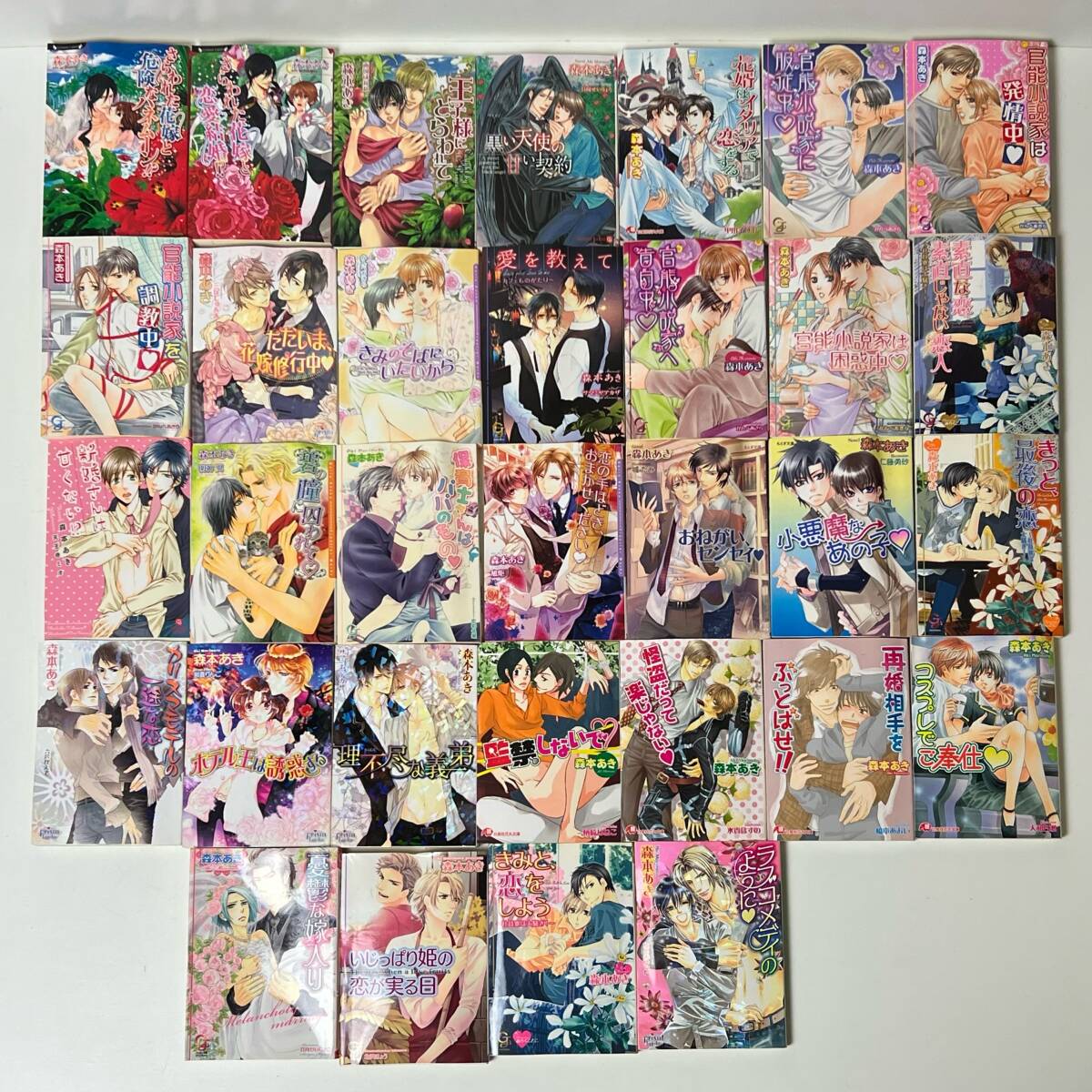 BL ボーイズラブ　ガッシュ文庫　小説【森本あき　まとめて32冊】　小悪魔なあの子　官能小説家へ告白中　ただいま花嫁修業中