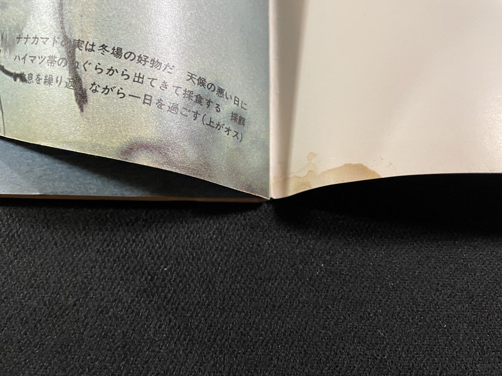 ｊ▽8　アサヒグラフ　昭和54年1月26日號　雷鳥の四季　プノンペン不可解な陥落　急速に進む中國のオシャレ革命　朝日新聞社/B17