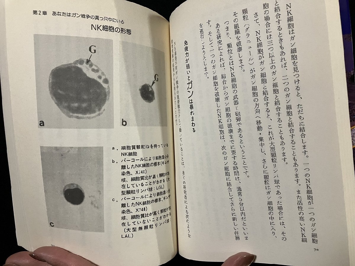 ｇΨ　ガン戦爭の秘密兵器 AHCC　著?北廣美　1995年　メタモル出版　/f-M02